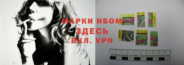 прущие грибы Алексеевка