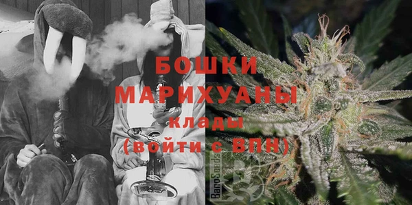 прущие грибы Алексеевка