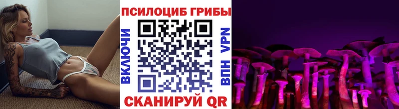 Галлюциногенные грибы ЛСД  мега ONION  Николаевск  где найти  