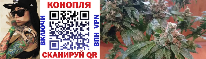 ОМГ ОМГ ссылки  Николаевск  Каннабис OG Kush 